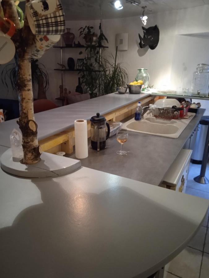 Appartement Tour médiévale de l'an mille à Loudes Extérieur photo